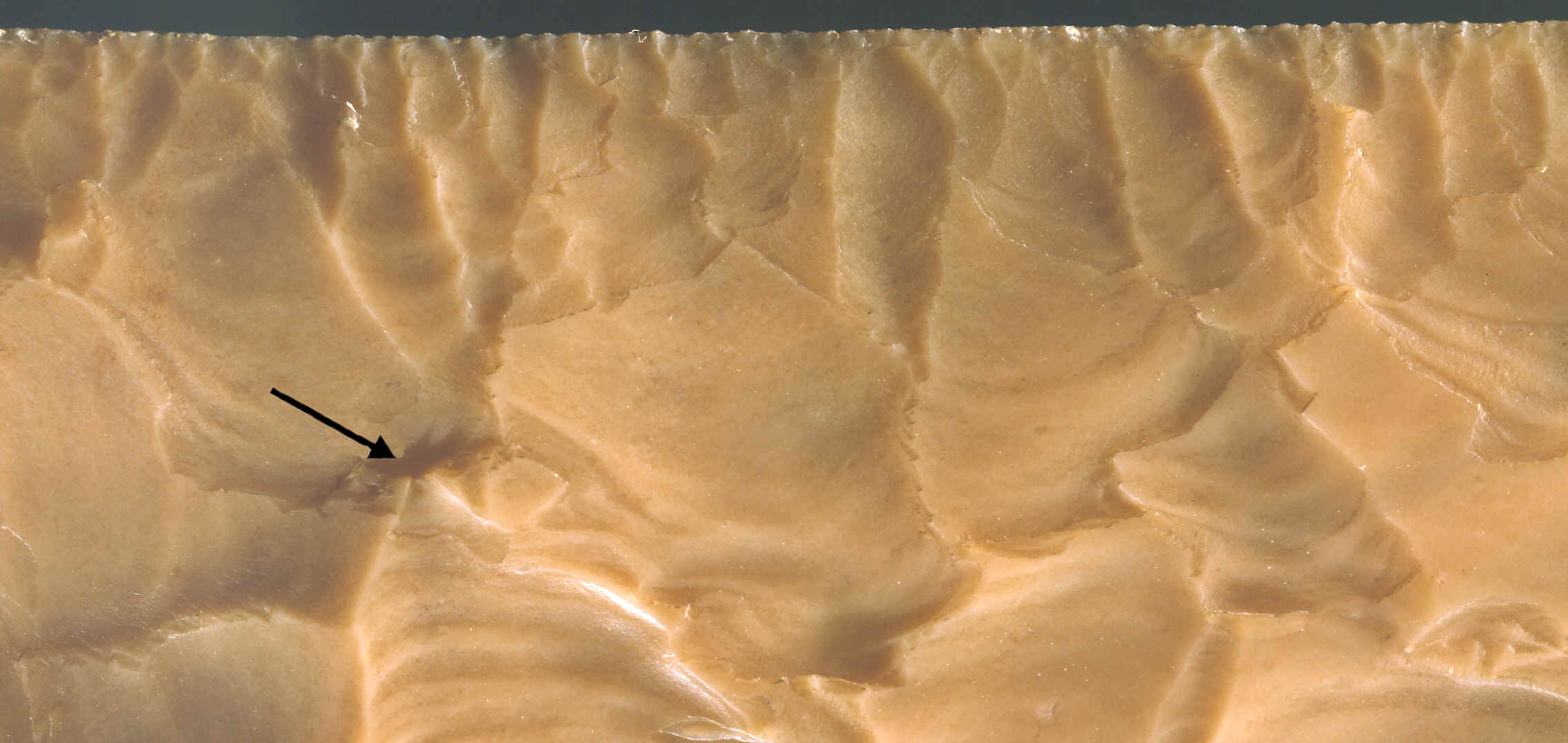 Close-up picture of the edge of a Fish Tail biface.