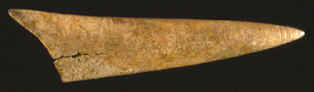 Antler arrow point from the Cahokia Mounds site.