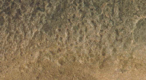 Peck marks on surface of axe grinding stone.