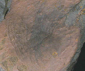Enlarged view of scratches on a piece of hematite.