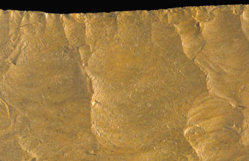 Magnified view of the edge of a Kansas square knife.