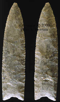 Largest Clovis point found on the Kimmswick site.