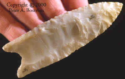 Cast of Lamb site Flint Ridge Clovis point.