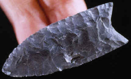 The largest Clovis point found in the bone bed.