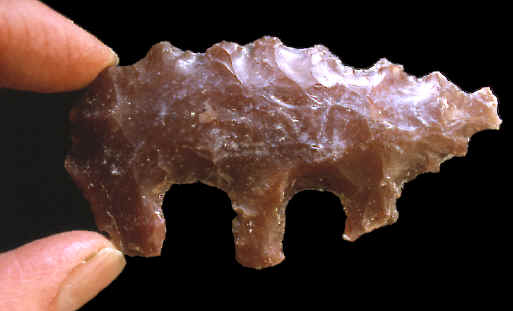 Mayan animal form eccentric.