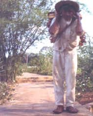 Man in the Yucatan Peninsula hauling firewood on back.