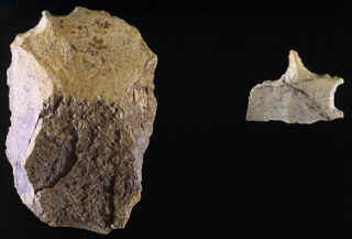 Two gravers from the Mesa site.