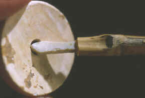 Shell bead with hafted micro-drill set in the hole.