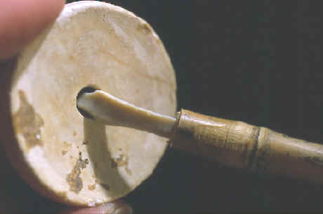 Large shell bead and hafted micro-drill.