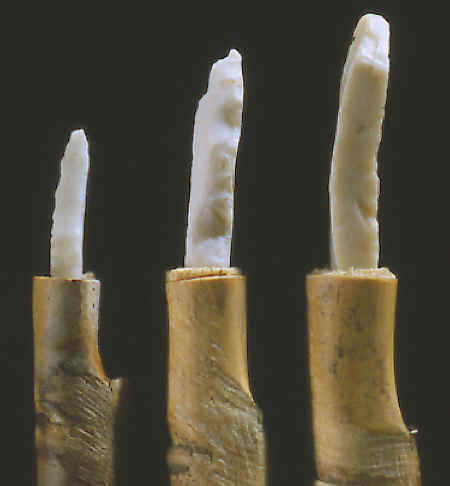 Micro-drills hafted on cane shafts.