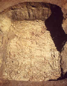 Sacrificial burials in "female burial pit".