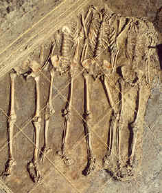 Four sacrificial male burials with hands and heads missing.