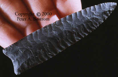 Plainview point hand held.