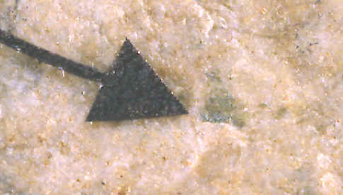 Magnified view of copper pigment on Ramey knife.