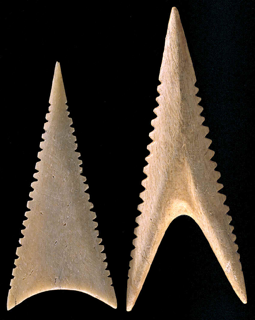 Two bone shark teeth effigy arrow points from Cahokia.