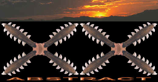 Sharks teeth club abstract picture.
