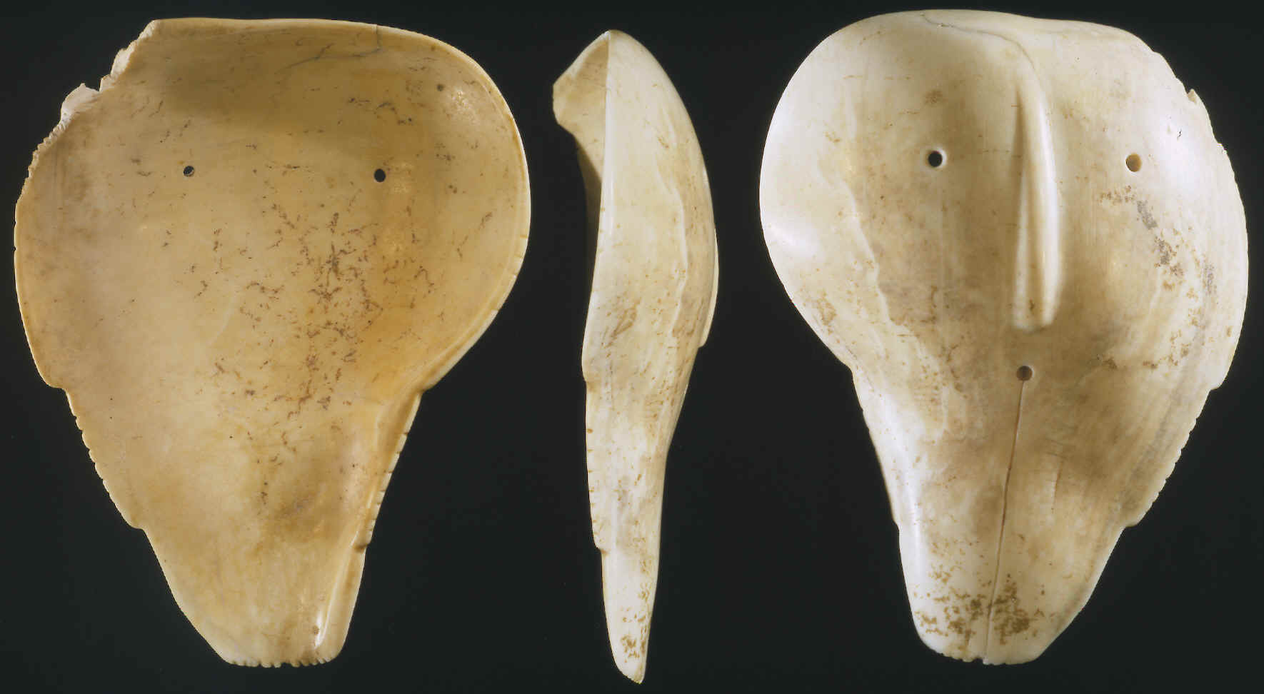 A marine shell mask gorget from South Dakota.