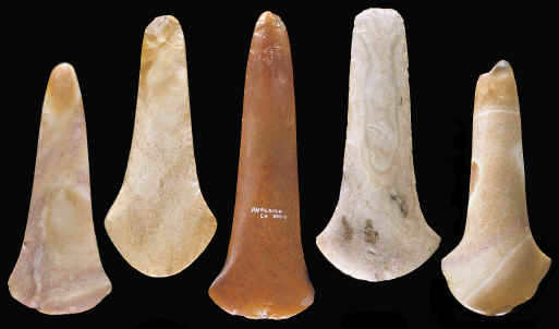 5 stone spuds from Illinois, Missouri, Ohio & Tennessee.