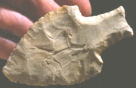 Cast of a Stemmed Fluted point from Belize.