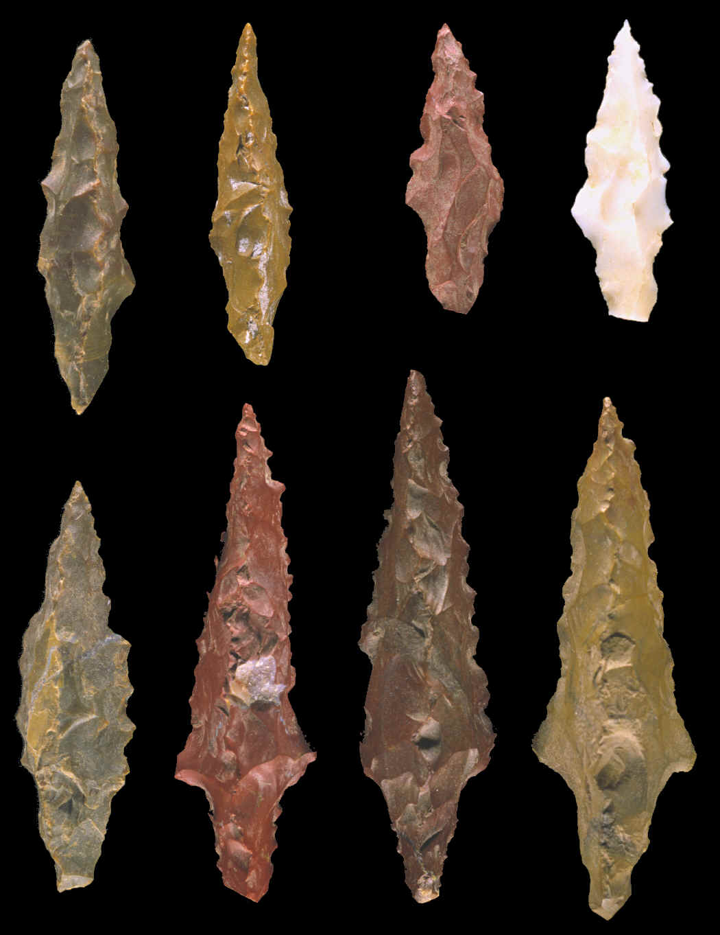 Eight three sided projectile points from Panama.
