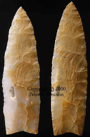 Two Wenatchee Clovis points showing patinated side.