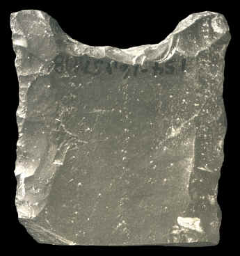 Fluted point basal fragment from the Windy City site.