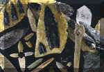 Murray Springs Bone Wrench and many different Clovis artifacts.