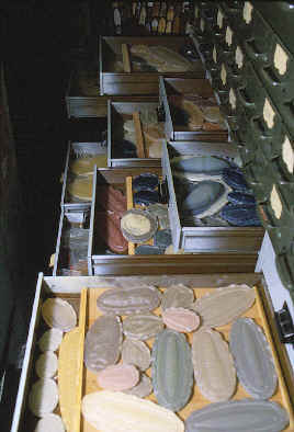 Master Mold stroage area in lithic Casting Lab.