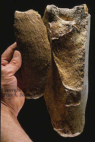 Mammoth bone from Lange Ferguson site in South Dakota.