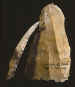 Gault site core and Bostrom site Clovis blade.